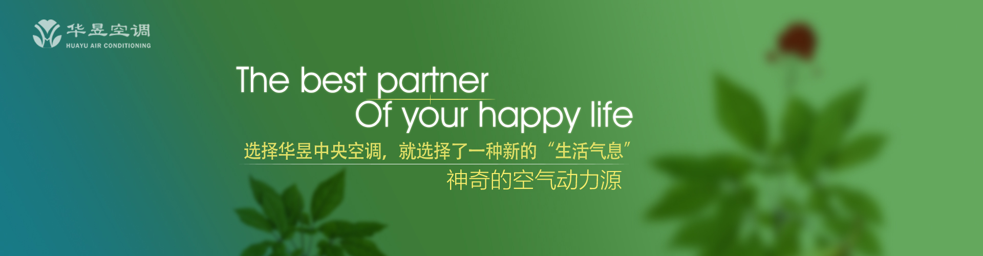 赴汤蹈火网